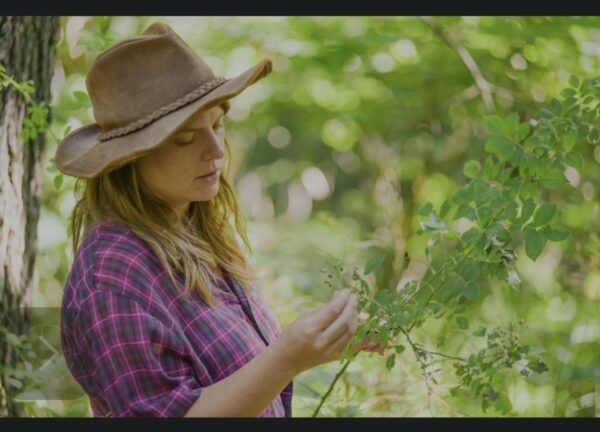 Ticket: Herb Walk: Nut Processing
