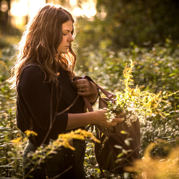 Ticket: Foraging with Brenna: Nutwalk through the woods