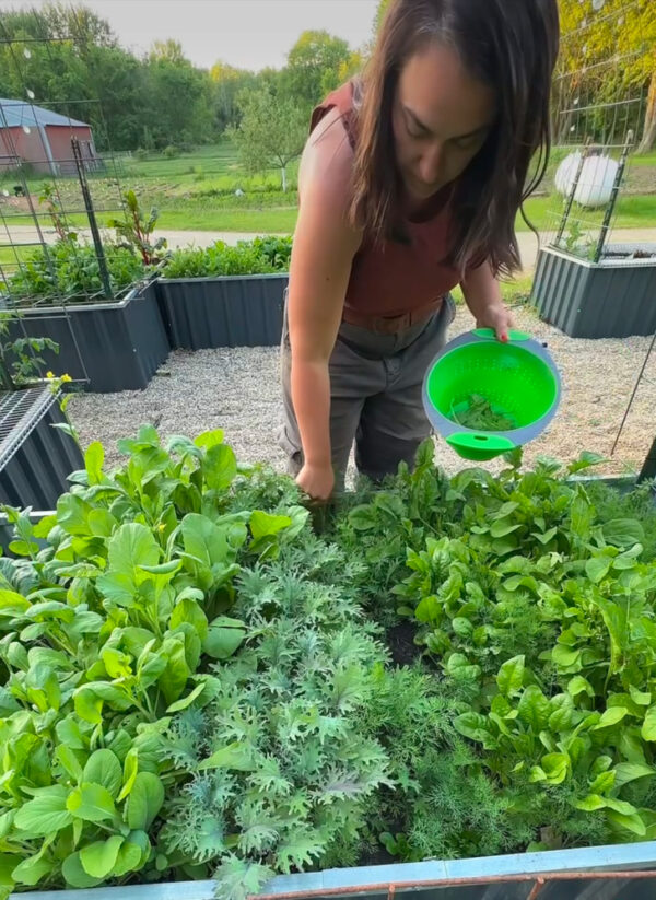 Ticket: Raised Bed Garden Planning