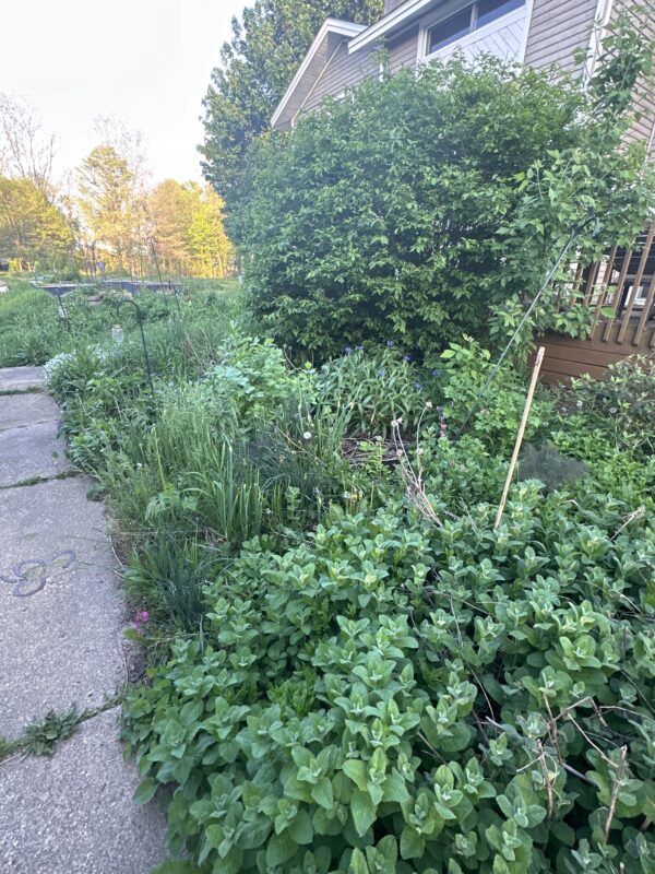 Ticket: Edible Landscaping