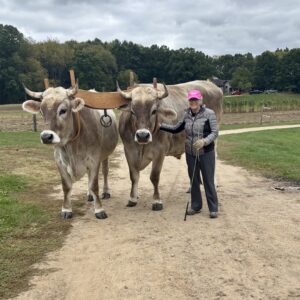 Sponsor an Event Attendee (Optional)