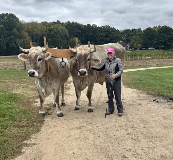 Sponsor an Event Attendee (Optional)